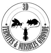 Traitement curatif anti-termites sur Langon Termites & Nuisibles Gironde