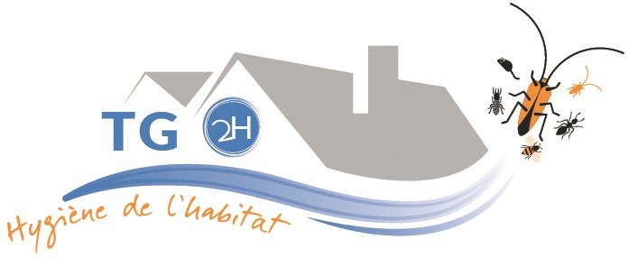 Traitement des nuisibles et contre les insectes xylophages Libourne (33) près de Bordeaux